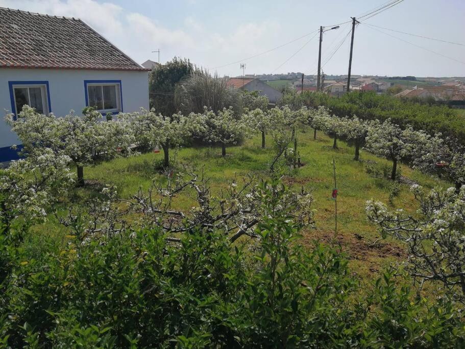 Villa Casa Da Ti' Milia Encarnacao Esterno foto